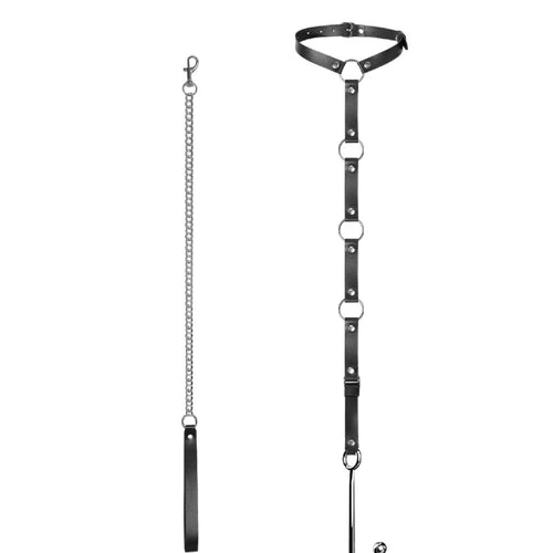 Anal Hooks EverydayUse Kinky Collar Leash Anal 5853 with Hook and 0729